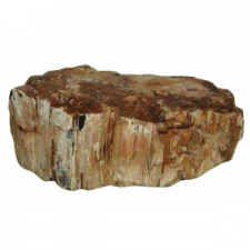 Roca madera fósil (kg)