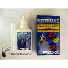 Bacterias Nitridac 30 ml