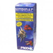 Bacterias Nitridac 100 ml