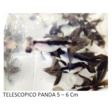 PEZ TELESCOPIO PANDA 4 cm