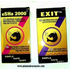 Exit + ESHA 2000