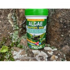 Prodac Algae wafers mini 100 ml