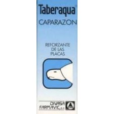 Taberacua caparazón