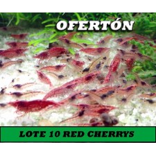 Lote 10 red cherrys