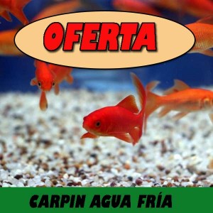 Contracción Especificado Pionero Peces online. OFERTAS | Plantiber