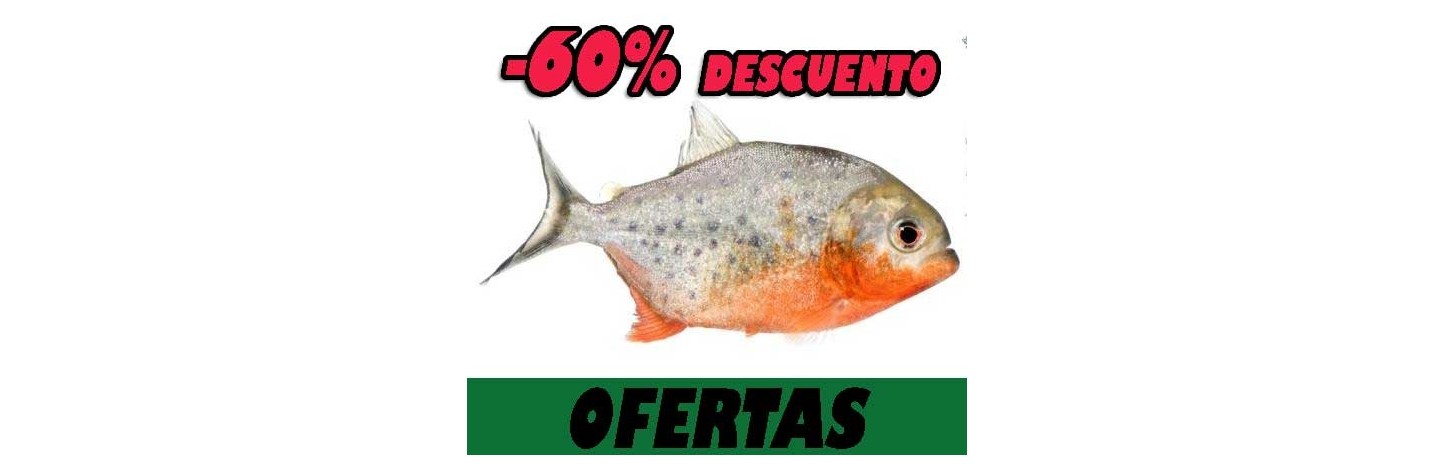 Peces online. OFERTAS