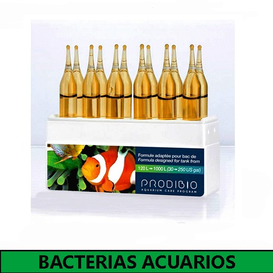 Bacterias beneficiosas