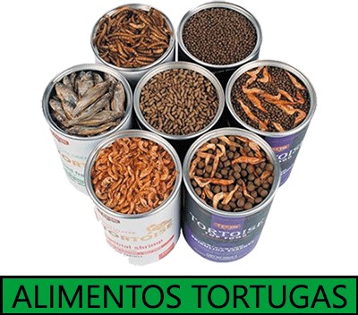 Alimentos tortugas