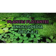 Plantas flotantes