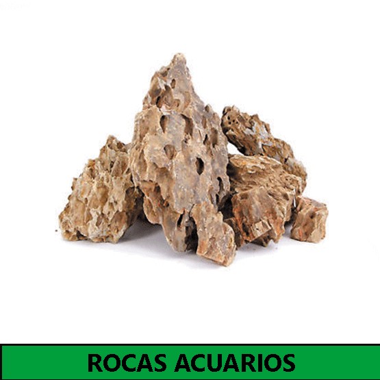 Rocas acuarios