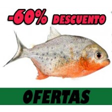 OFERTAS