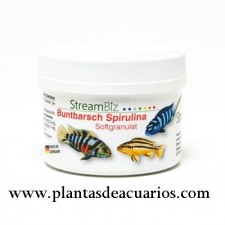 Alimentación STREAMBIZ