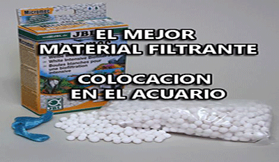 Día cuatro veces Limitado Material filtrante y colocacion en el acuario | Plantiber