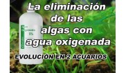 La eliminación de las algas con agua oxigenada (H2O2)